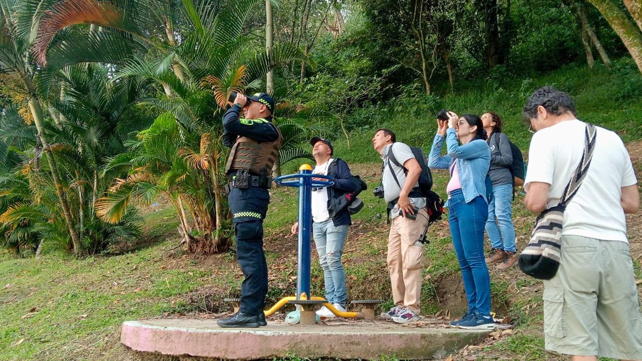Avistamiento de aves