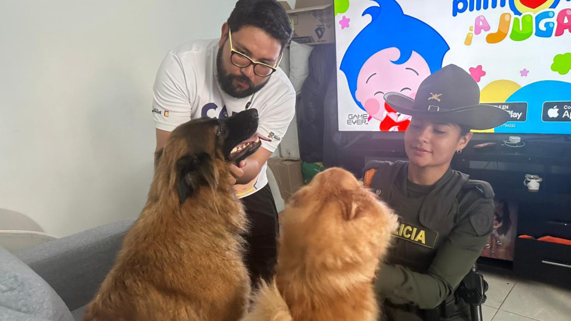 InShot 20260128 113840354