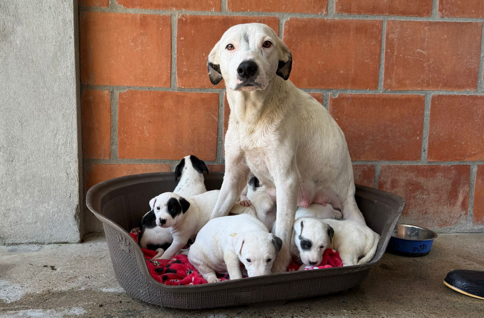 WhatsApp Image 2026 01 08 at 2.14.16 PM