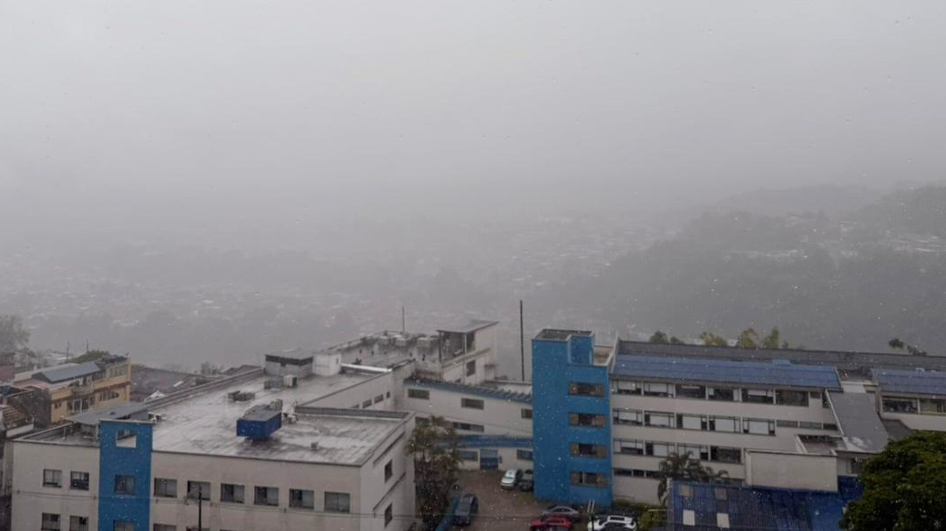 InShot 20260204 110506717