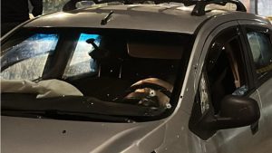 InShot 20260207 111009948