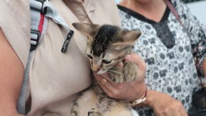 InShot 20260222 171916393