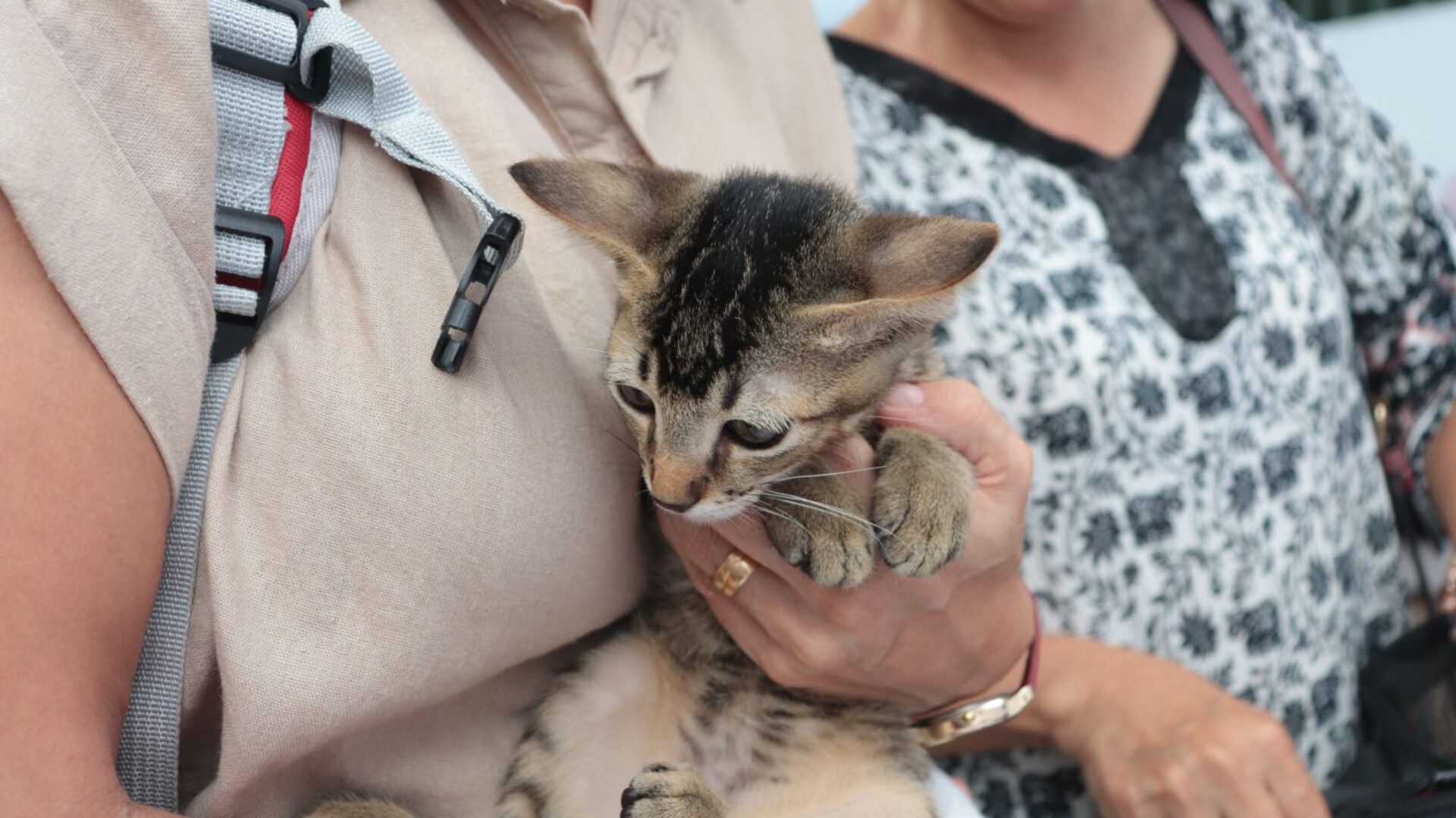 InShot 20260222 171916393