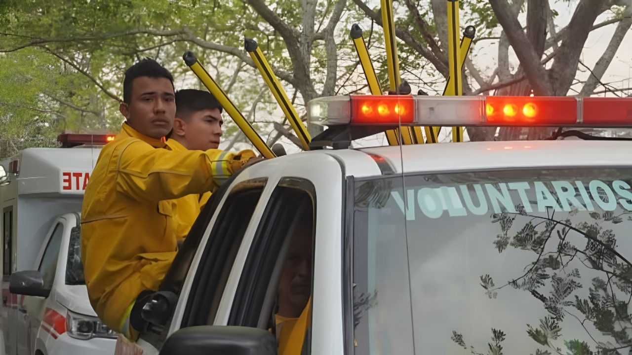 Estudiantes de la UT se suman a estrategia para prevenir incendios y proteger los bosques del Tolima 2 Jovenes UT
